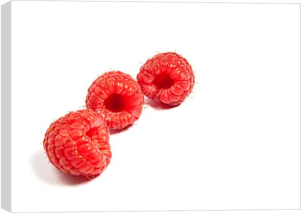 Raspberries Canvas Print by Jeni Harney