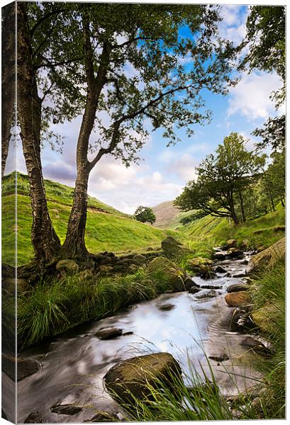 Chew Brook Canvas Print by Jeni Harney