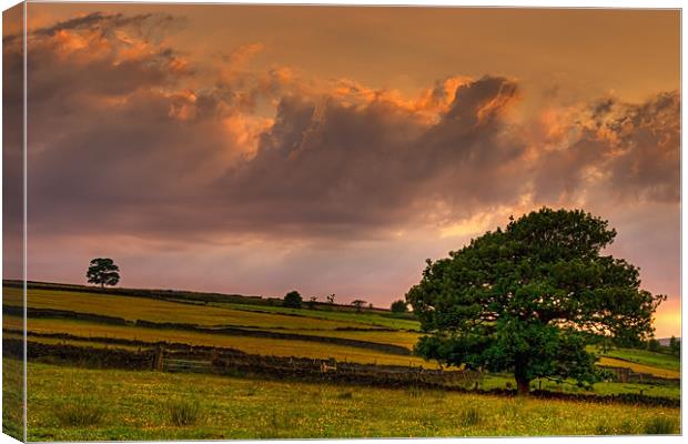 Sunset in Stormy Skies Canvas Print by Jeni Harney