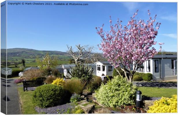 A Serene Spring Haven Canvas Print by Mark Chesters