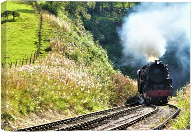 Majestic Steam Engine Emerging from a Lush Tunnel Canvas Print by Mark Chesters