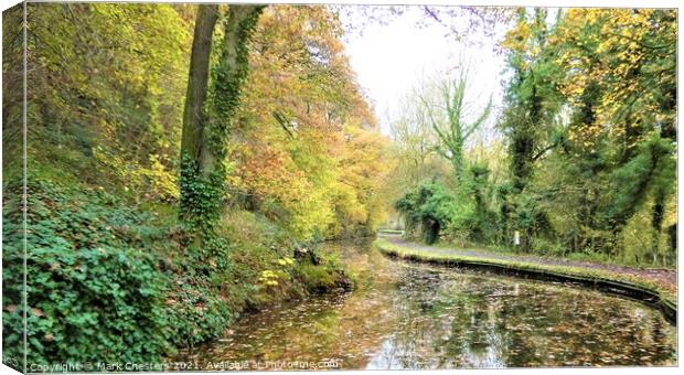 Serene Autumn Caldon Canal Canvas Print by Mark Chesters