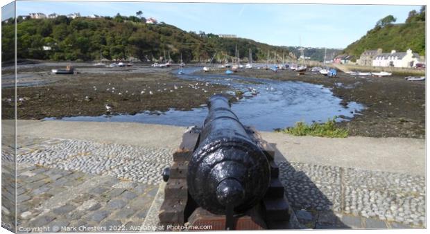 Fishguard Cannon and harbour Canvas Print by Mark Chesters