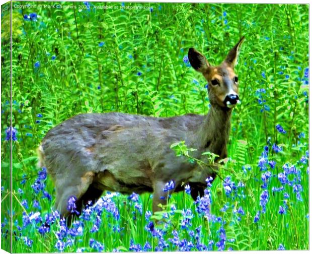 Majestic Deer Amidst Bluebells Canvas Print by Mark Chesters