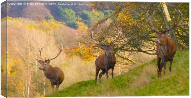 Majestic Red Deer in Autumn Field Canvas Print by Mark Chesters