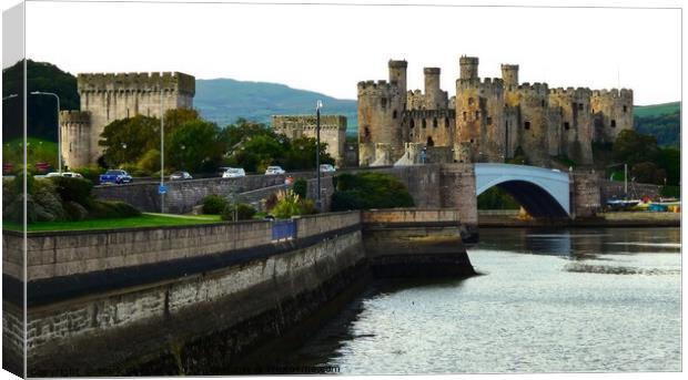 Conwy Castle and river Canvas Print by Mark Chesters