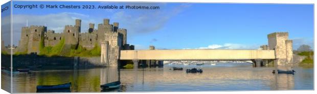 Conwy Castle and train tunnel Canvas Print by Mark Chesters
