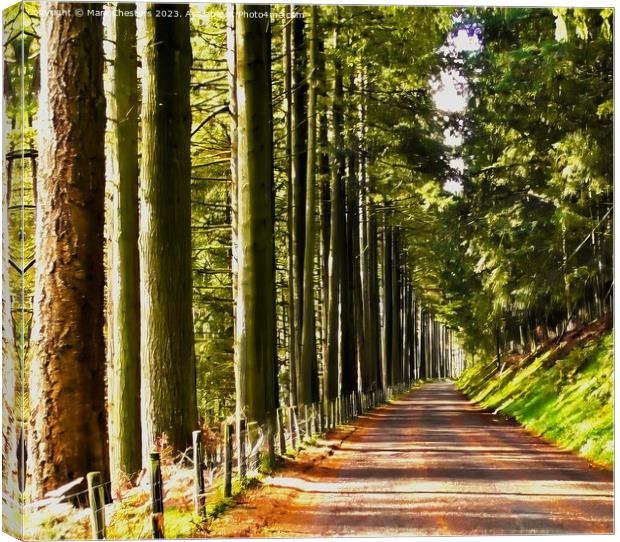 Avenue of trees Canvas Print by Mark Chesters