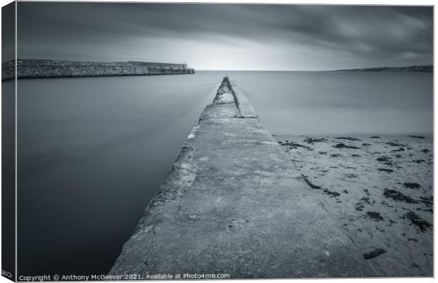 St Andrews Harbour in mono Canvas Print by Anthony McGeever