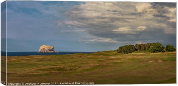 North Berwick golf course and Bass rock  Canvas Print by Anthony McGeever