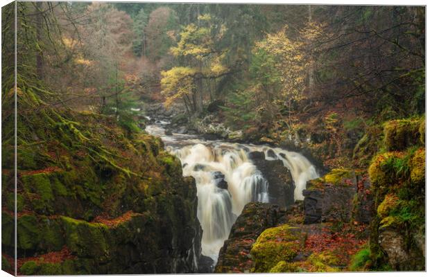 Dunkeld the Black Linn Falls Canvas Print by Anthony McGeever