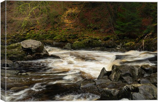 The river Braan Dunkeld  Canvas Print by Anthony McGeever