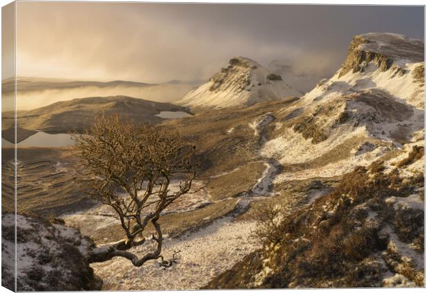 A winter sunrise on the Quiraing  Canvas Print by Anthony McGeever