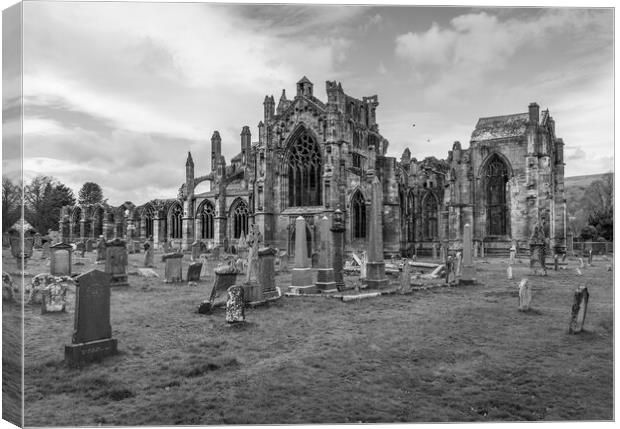Melrose Abbey Black and White  Canvas Print by Anthony McGeever
