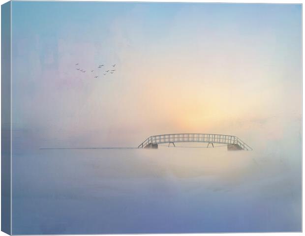 The Bridge to Nowhere  Canvas Print by Anthony McGeever