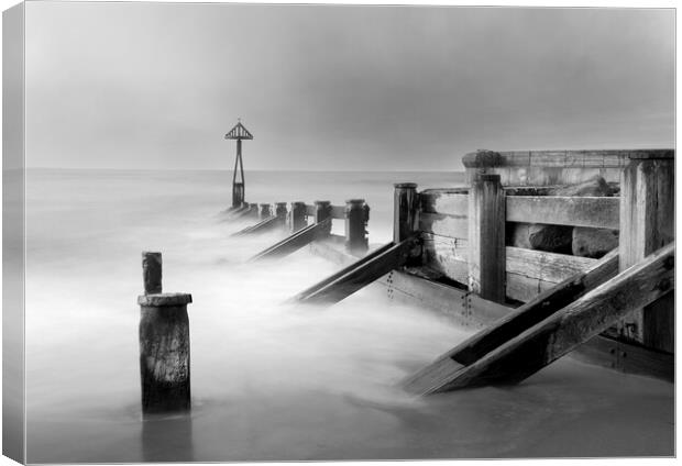 Seaton Groynes B&W  Canvas Print by Anthony McGeever