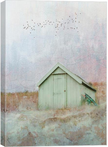 The Lone Beach Hut  Canvas Print by Anthony McGeever