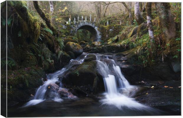 The Magical Fairy Bridge Canvas Print by Anthony McGeever