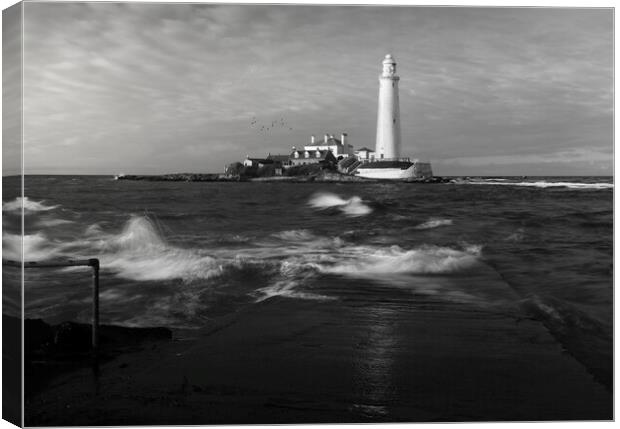 St Marys Lighthouse Black and White  Canvas Print by Anthony McGeever