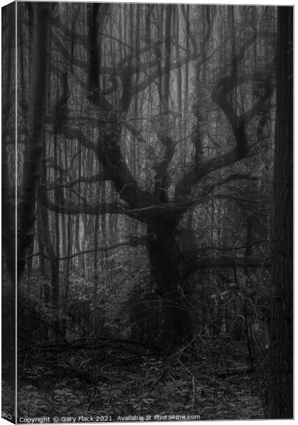 A double exposure old spooky tree in the mist Canvas Print by That Foto