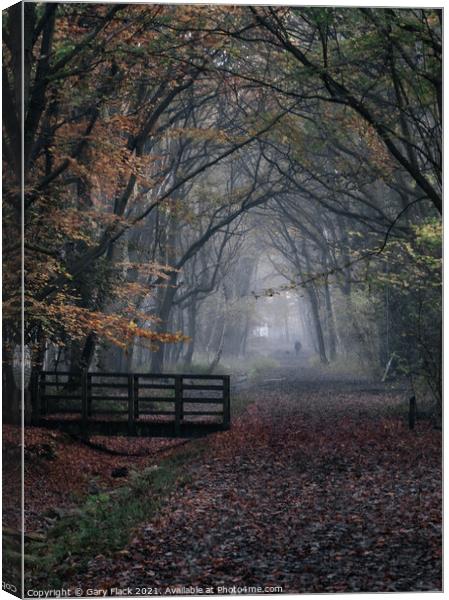 Autumn woods walk,misty Canvas Print by That Foto