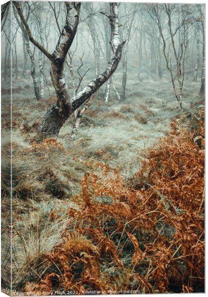 Autumn in the Peak District  Suprise view  Canvas Print by That Foto