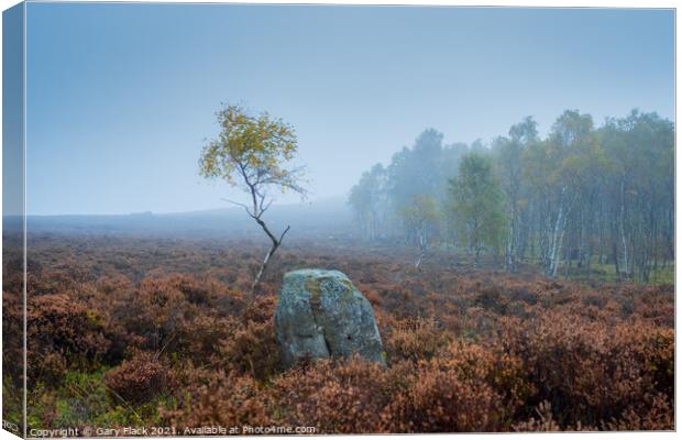 Lone Silver Birch Derbyshire Peak District on a misty day Canvas Print by That Foto