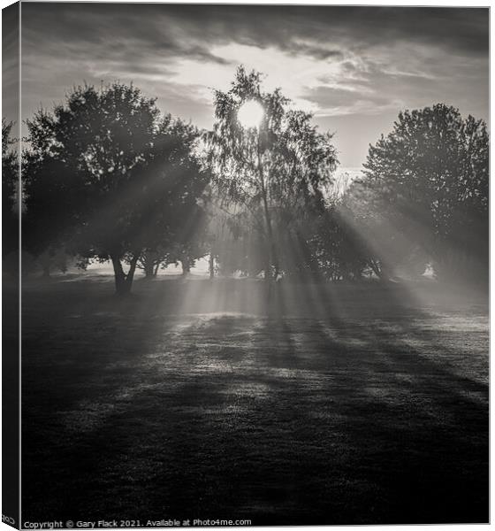 Doncaseter Autumn early morning on a misty day Canvas Print by That Foto