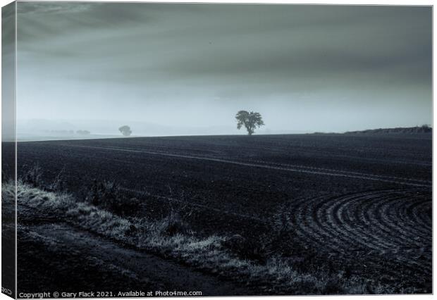 Ploughed fields and Misty views, Lincolnshire in Monochrome Canvas Print by That Foto