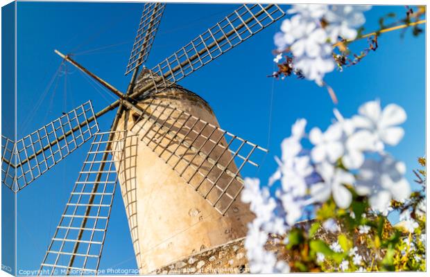 Historic windmill of Es Jonquet, Palma, Majorca Canvas Print by MallorcaScape Images