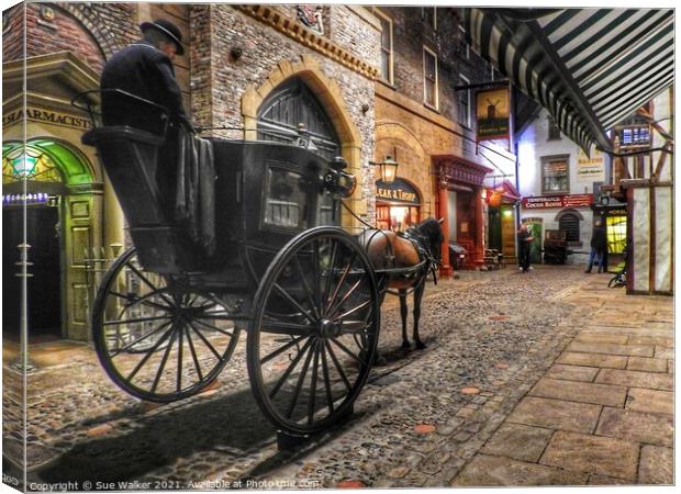Horse and cart, York Canvas Print by Sue Walker
