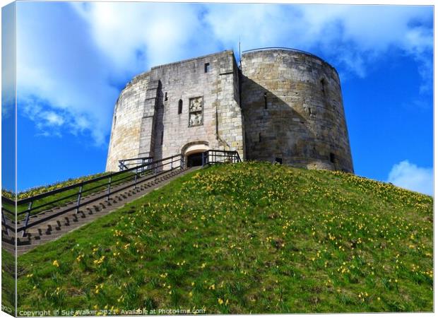 Cliffords Tower, York Canvas Print by Sue Walker