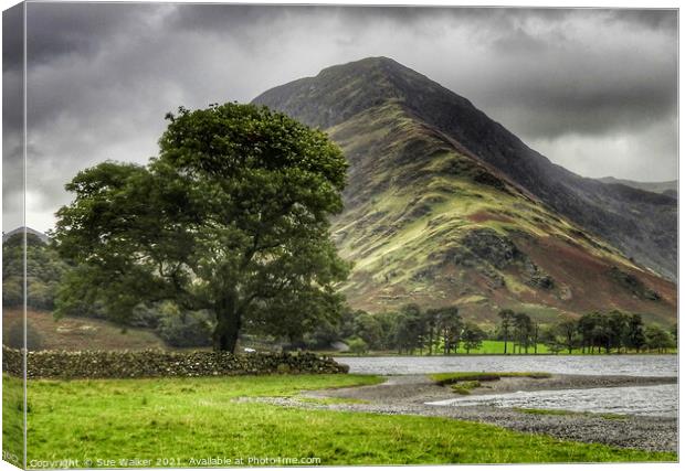 Beautiful Buttermere  Canvas Print by Sue Walker