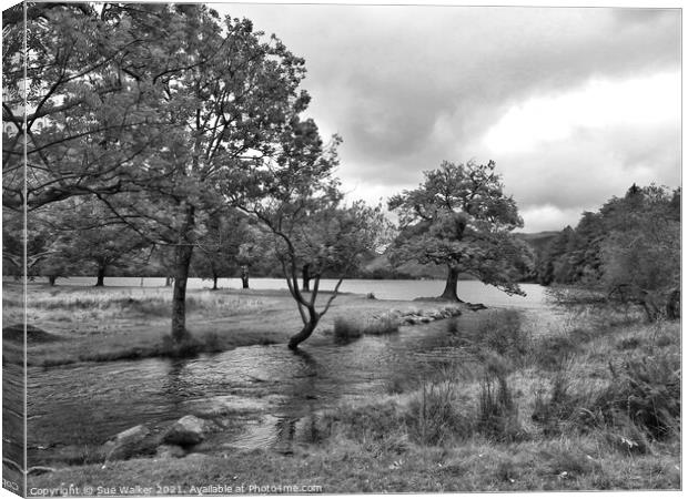 Buttermere, Lake District  Canvas Print by Sue Walker