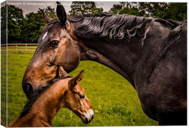 Mare and foal Canvas Print by Michael Barby