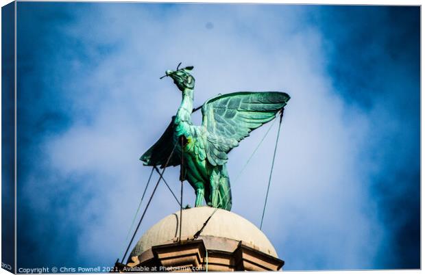 Liverpool Liver Bird Canvas Print by Chris Pownell