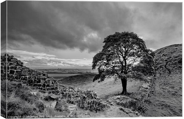 Sycamore Gap, View to the North Canvas Print by Jonathan Bird