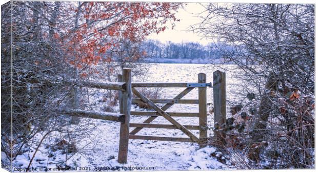To the field Beyond, Hutton Country Park  Canvas Print by Jonathan Bird
