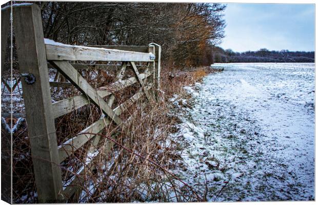 Open to Beyond, Hutton Country Park  Canvas Print by Jonathan Bird