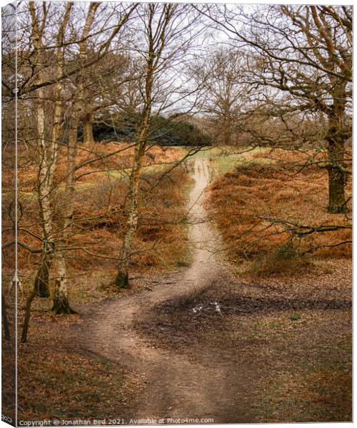 The Deviation, Weald Country Park Canvas Print by Jonathan Bird