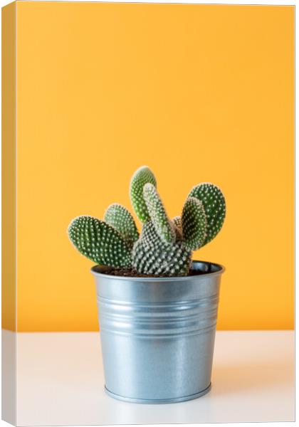 Cactus plant in metal pot against yellow colored w Canvas Print by Andrea Obzerova