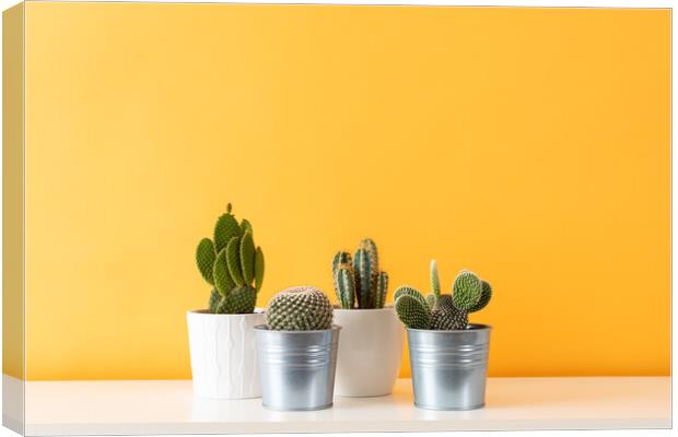 Cactus plants in flowerpots against yellow colored Canvas Print by Andrea Obzerova