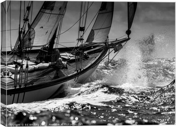 Sailing Canvas Print by Ed Whiting