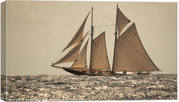 Columbia classic schooner. Canvas Print by Ed Whiting