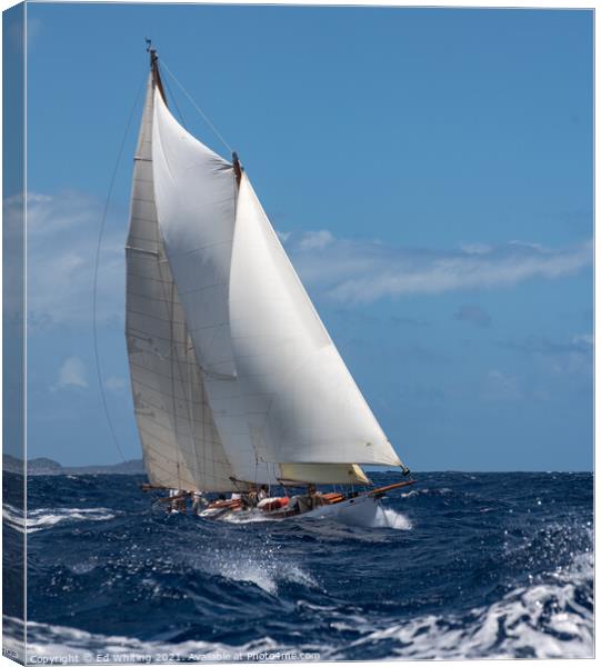 Classic Schooner Canvas Print by Ed Whiting