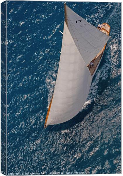 Classic Sail, The Blue Peter. Canvas Print by Ed Whiting