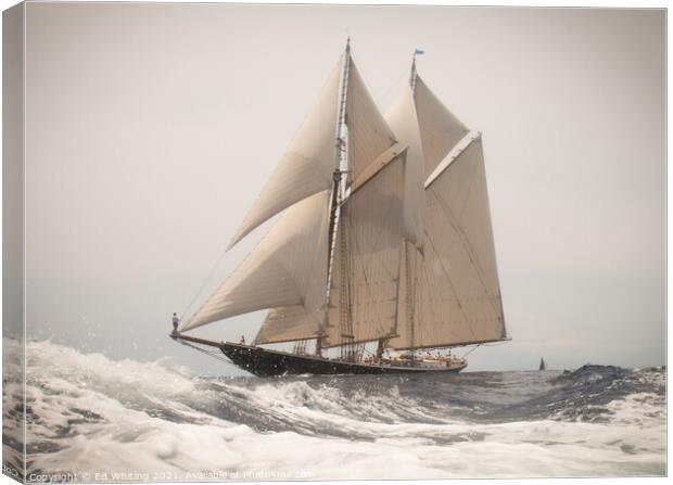 Classic 1923 Schooner, Columbia. Canvas Print by Ed Whiting