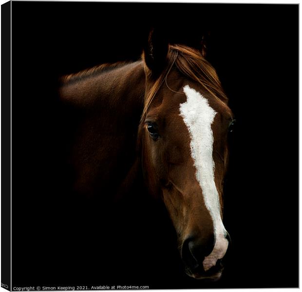 HORSE WITH BLAZE Canvas Print by Simon Keeping