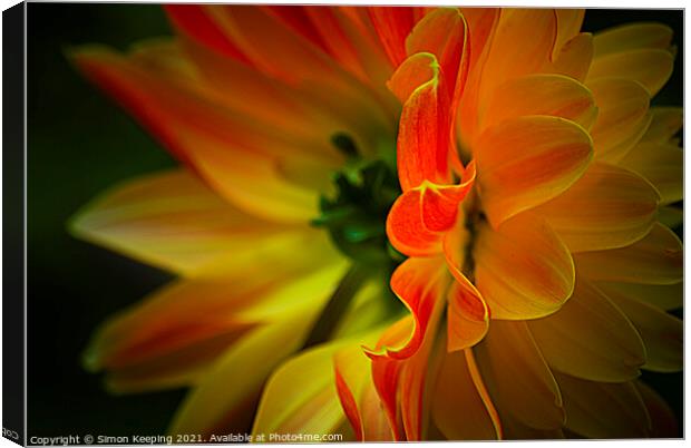 FLAME PETALS Canvas Print by Simon Keeping