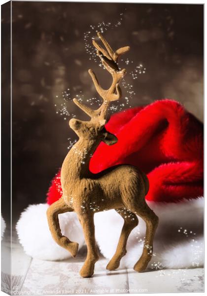 Christmas Reindeer Canvas Print by Amanda Elwell